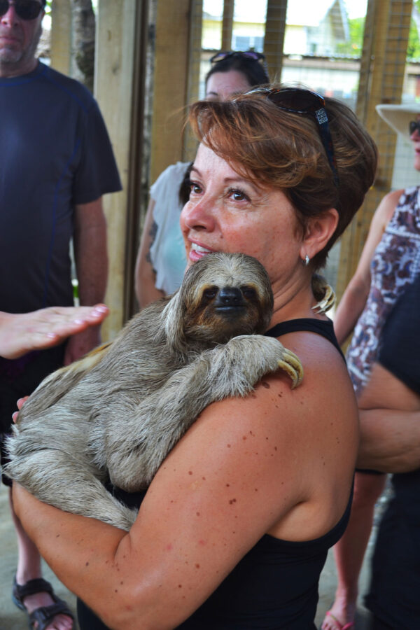 Monkey Sloth Park Snorkel Adventure