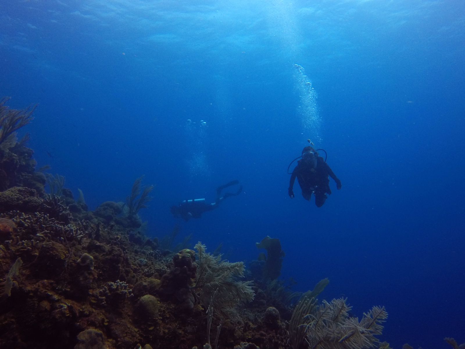 Dive Package - Roatan Ocean Adventures