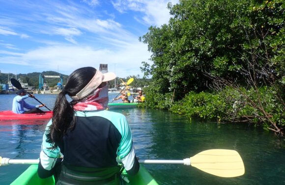 Kayak and Snorkel Adventure